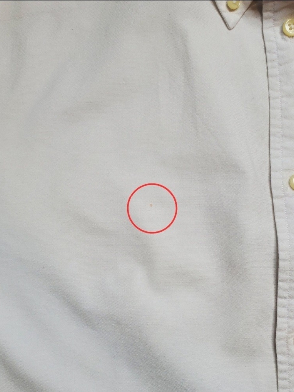 Polo Ralph Lauren Women's Oxford Shirt, White (Size XL) - Picture 7 of 10